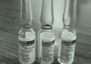 india oxytocin ban