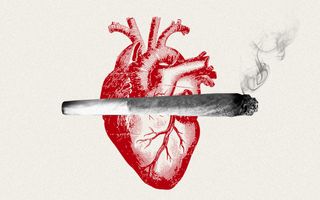 weed cardiovascular disease risk