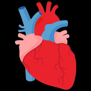 cardiovascular disease in india