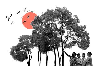 what is citizen science