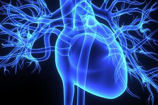 heart attack risk factors in women