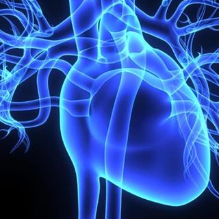 heart attack risk factors in women