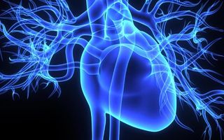 heart attack risk factors in women