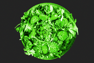 plant-based diet helping with migraines