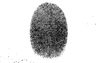 why do we have fingerprints