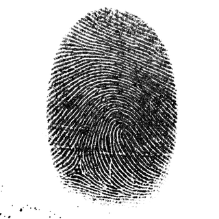 why do we have fingerprints