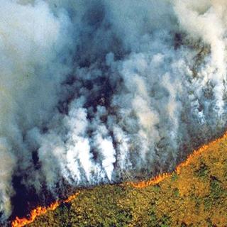 An Amazon Forest Fire Is Now Large Enough To Be Seen from Space