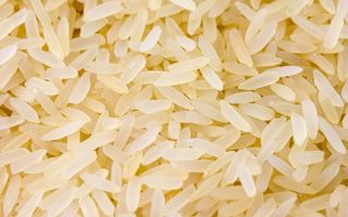 rice nutrition