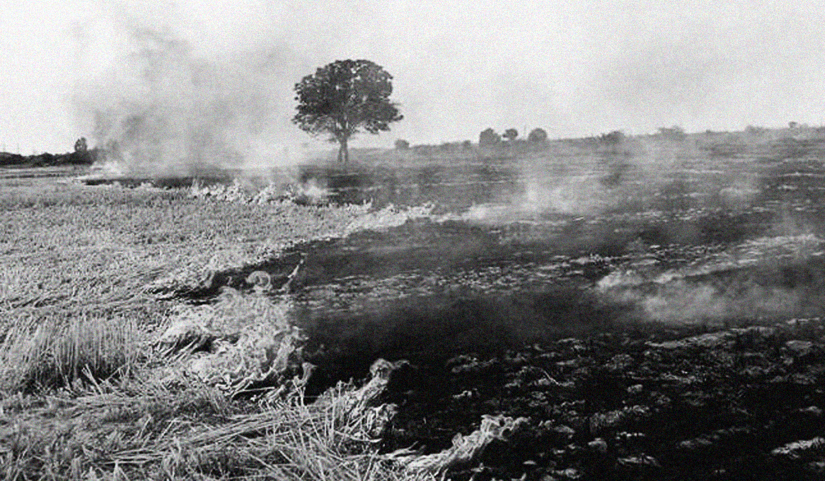 crop burning winter india