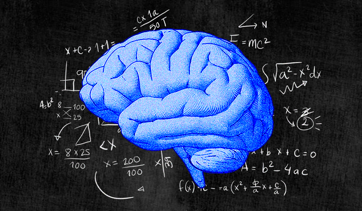 math neurons in our brains