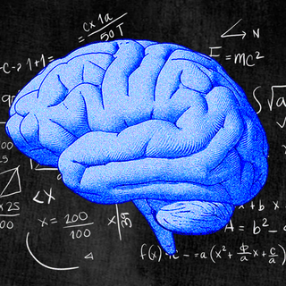 math neurons in our brains