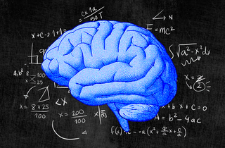 math neurons in our brains