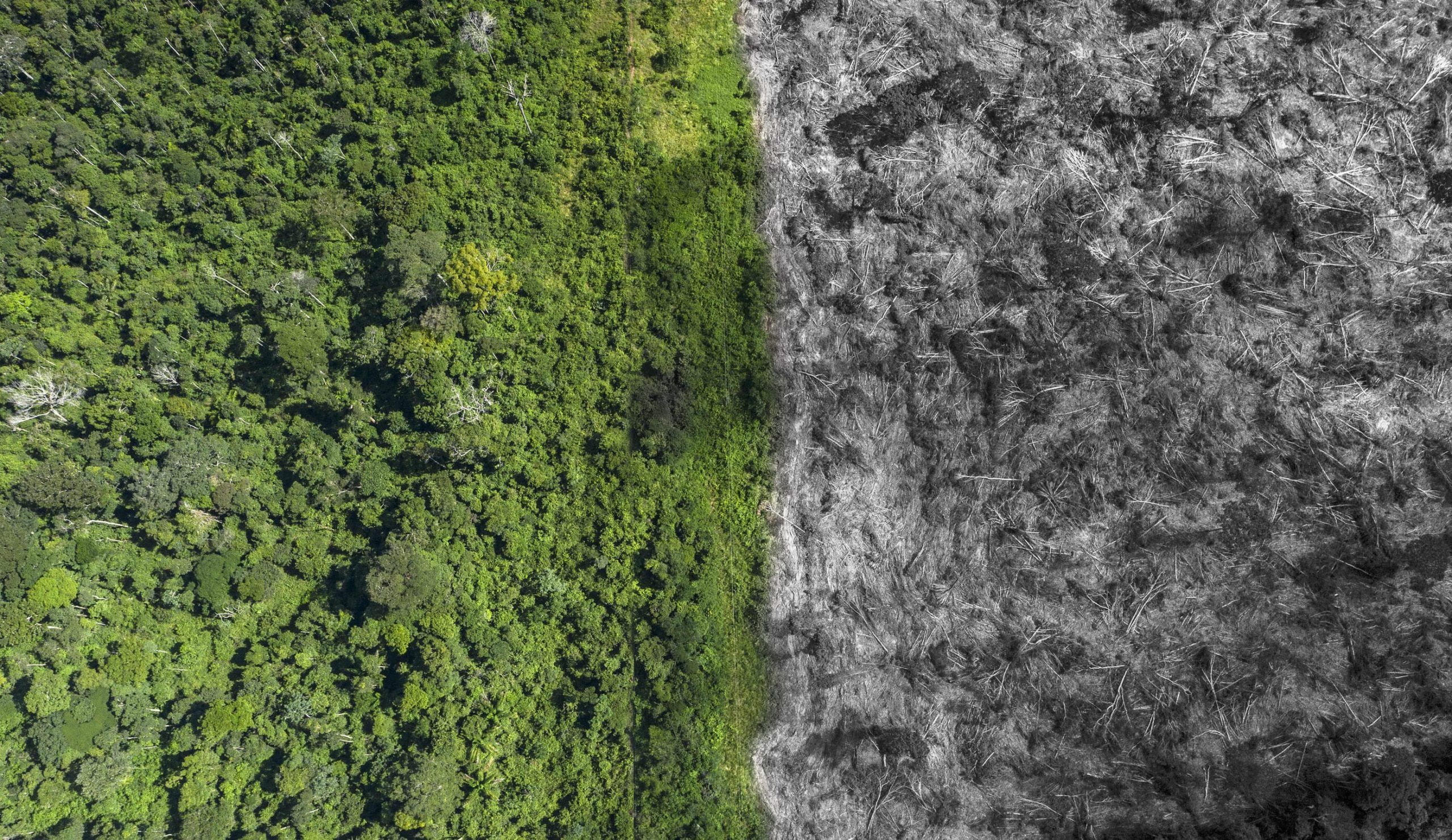 how are humans harming nature