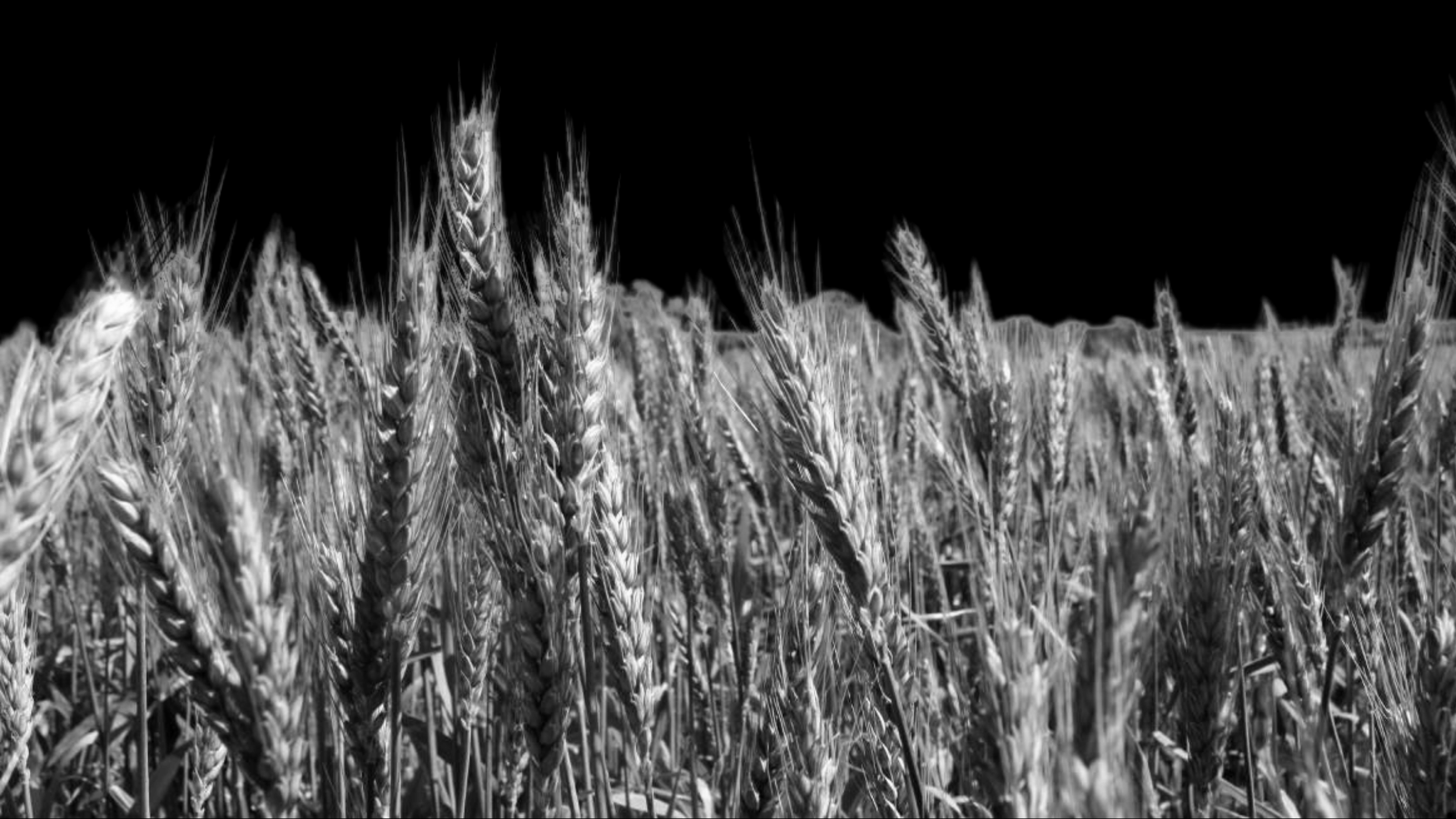 has climate change affected agriculture