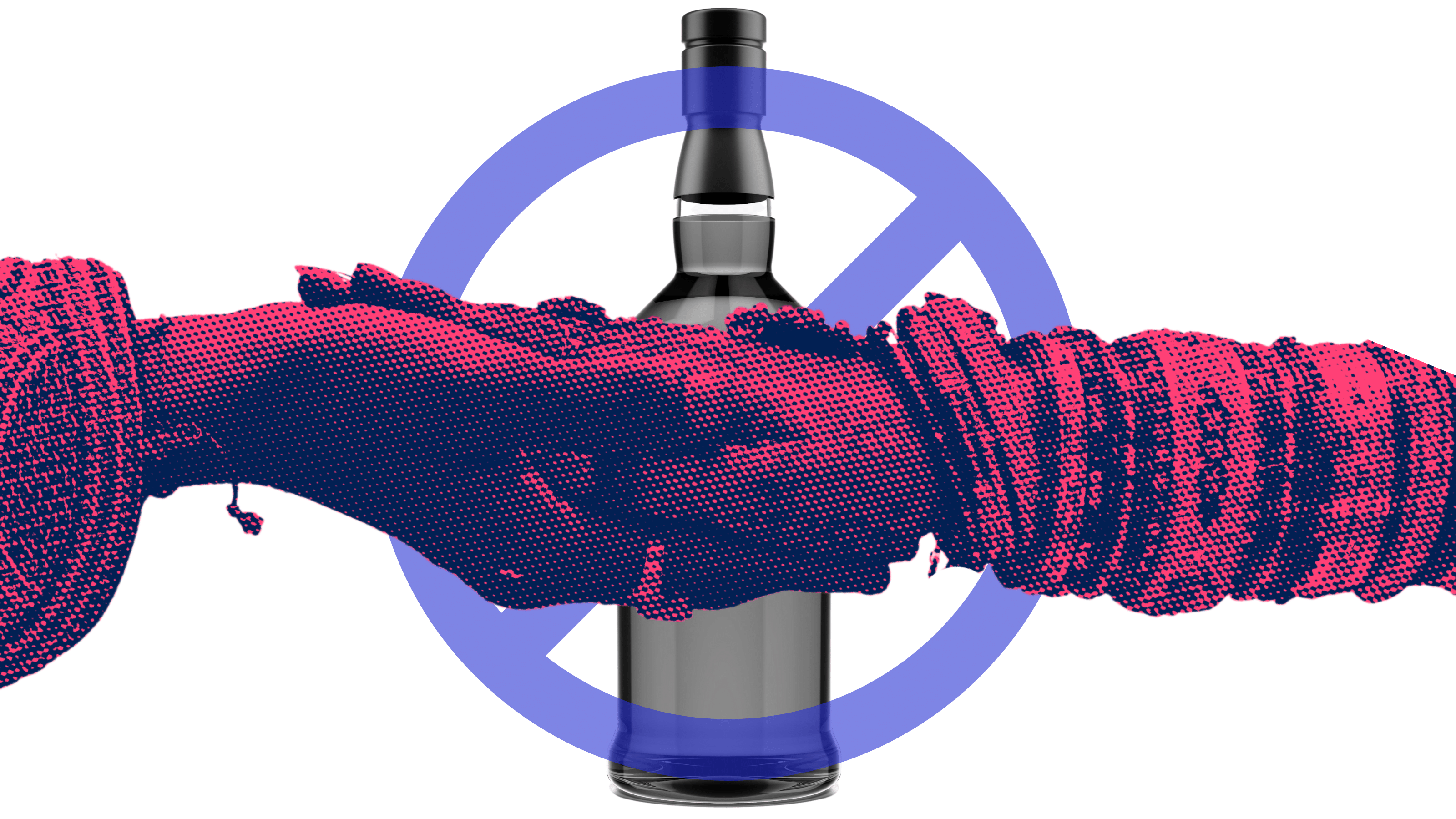 uttarakhand anti-alcohol activism
