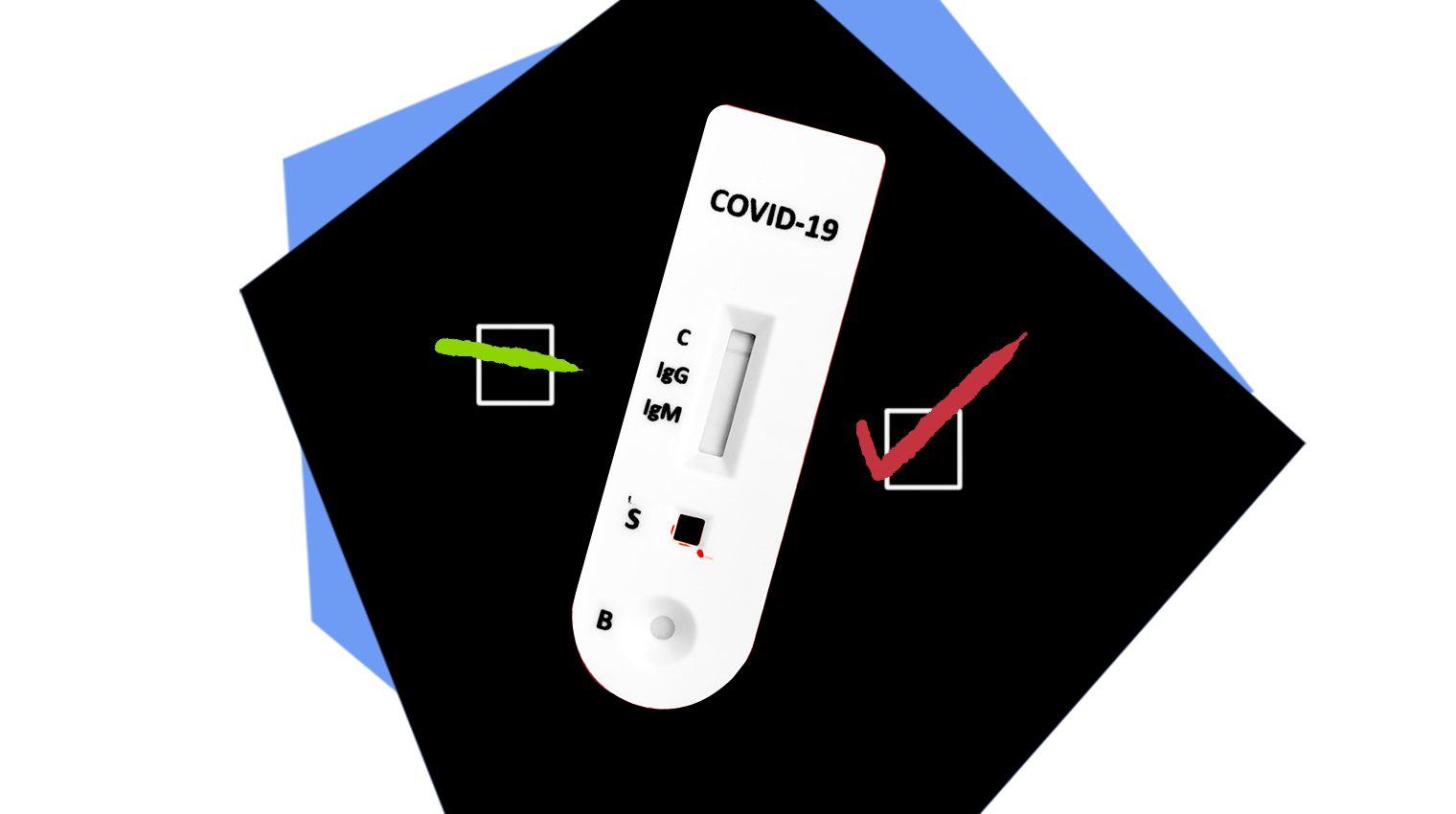 covid19 antibodies immunity india