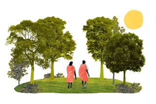 Forest Conservation Rules, 2022