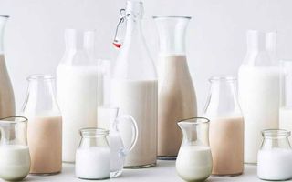 plant milk environment nutrition