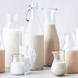 plant milk environment nutrition