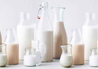 plant milk environment nutrition