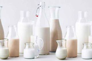 plant milk environment nutrition