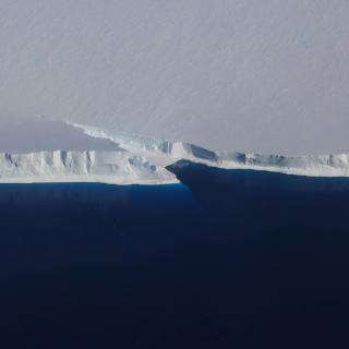 extremophiles in antarctica