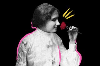 why smells bring up memories