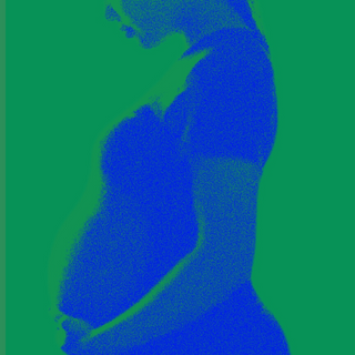 pregnancy medical research