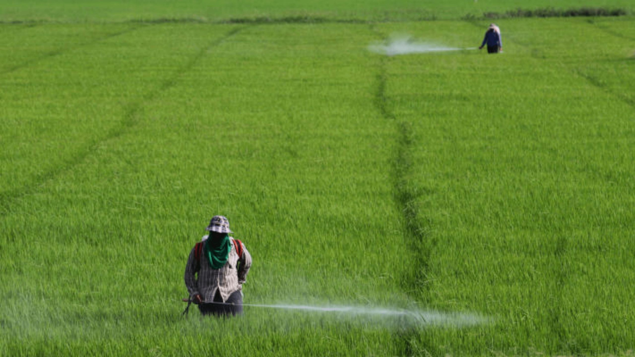 does farming produce N20