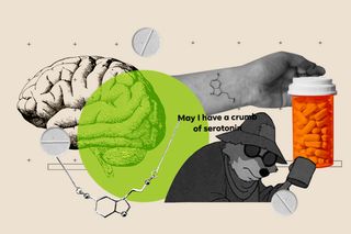 serotonin memes crumb