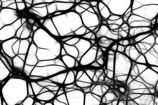 what is multiple sclerosis