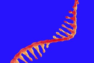 dark matter human genome