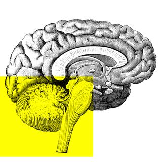 part of brain responsible for spirituality