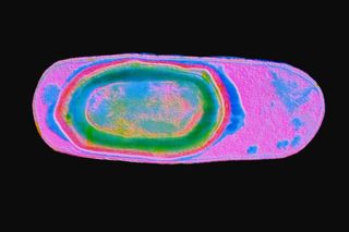 dormant bacteria revival