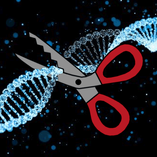 CRISPR-cas9 gene editing