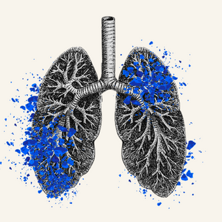 nanoplastics organ damage