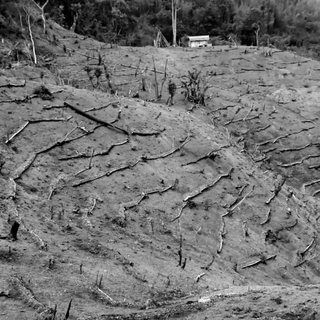 drought-like situation in Nagaland