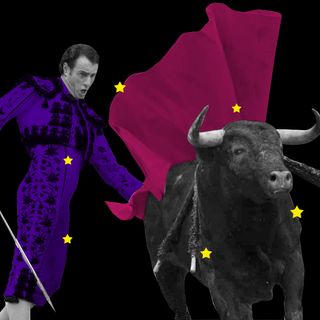 bull named feminism in bullfighting festival