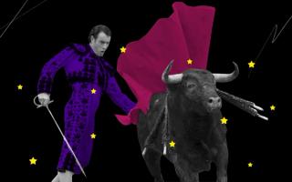 bull named feminism in bullfighting festival