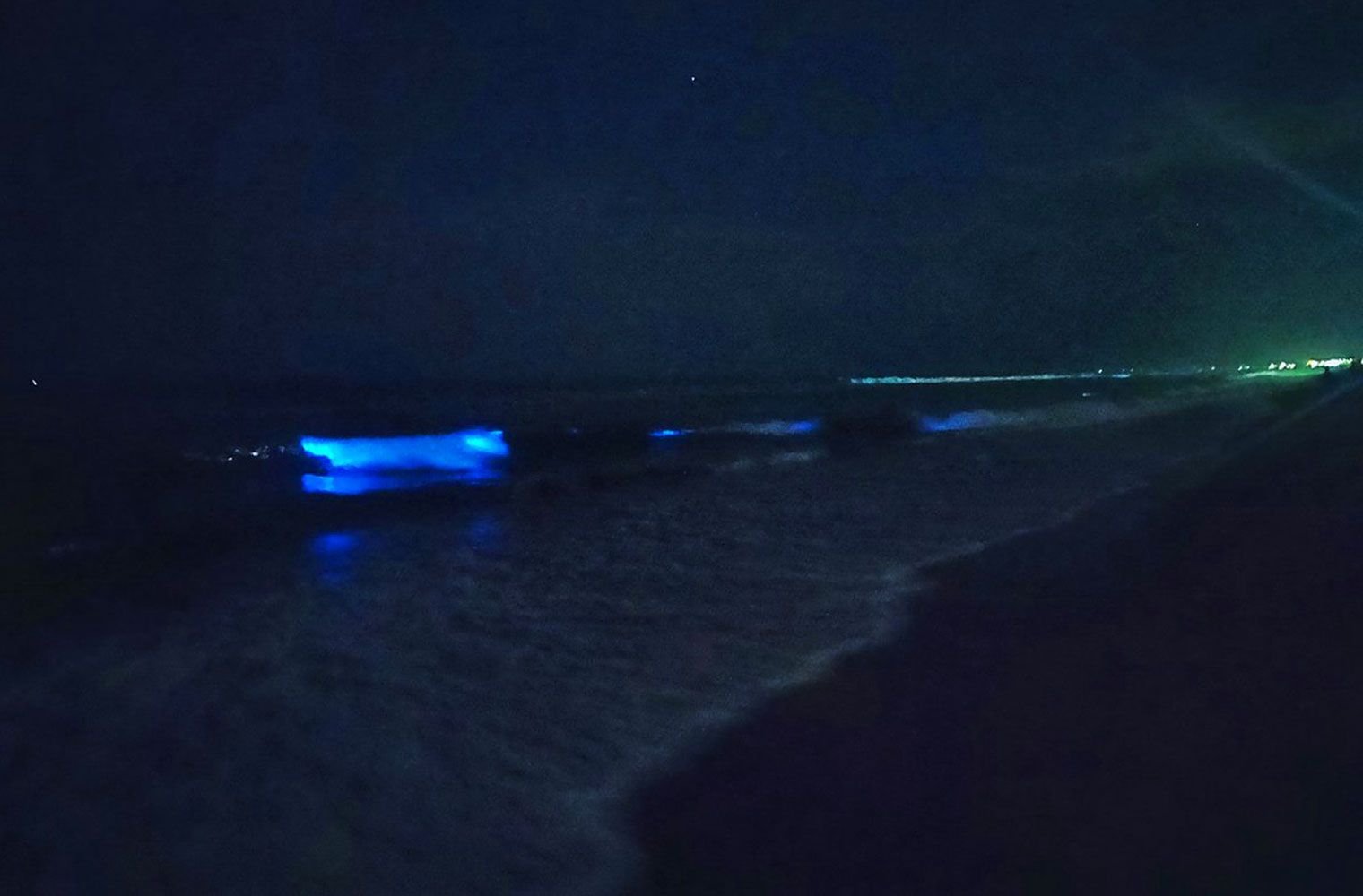 bioluminescent beach