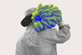 banana ancestors
