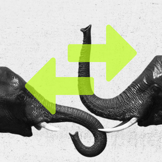 elephant behavior digital library