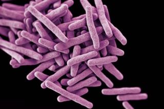 tb treatment innovation