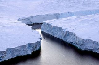 climate change emergency