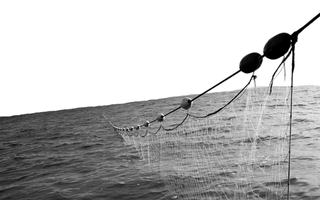 are drift nets still used for fishing