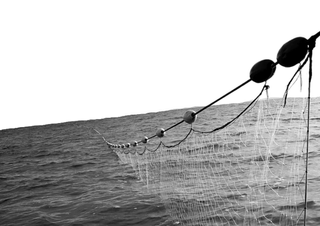 are drift nets still used for fishing