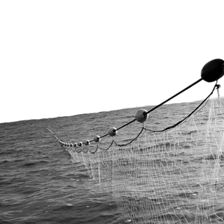 are drift nets still used for fishing