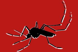 pregnant women and zika