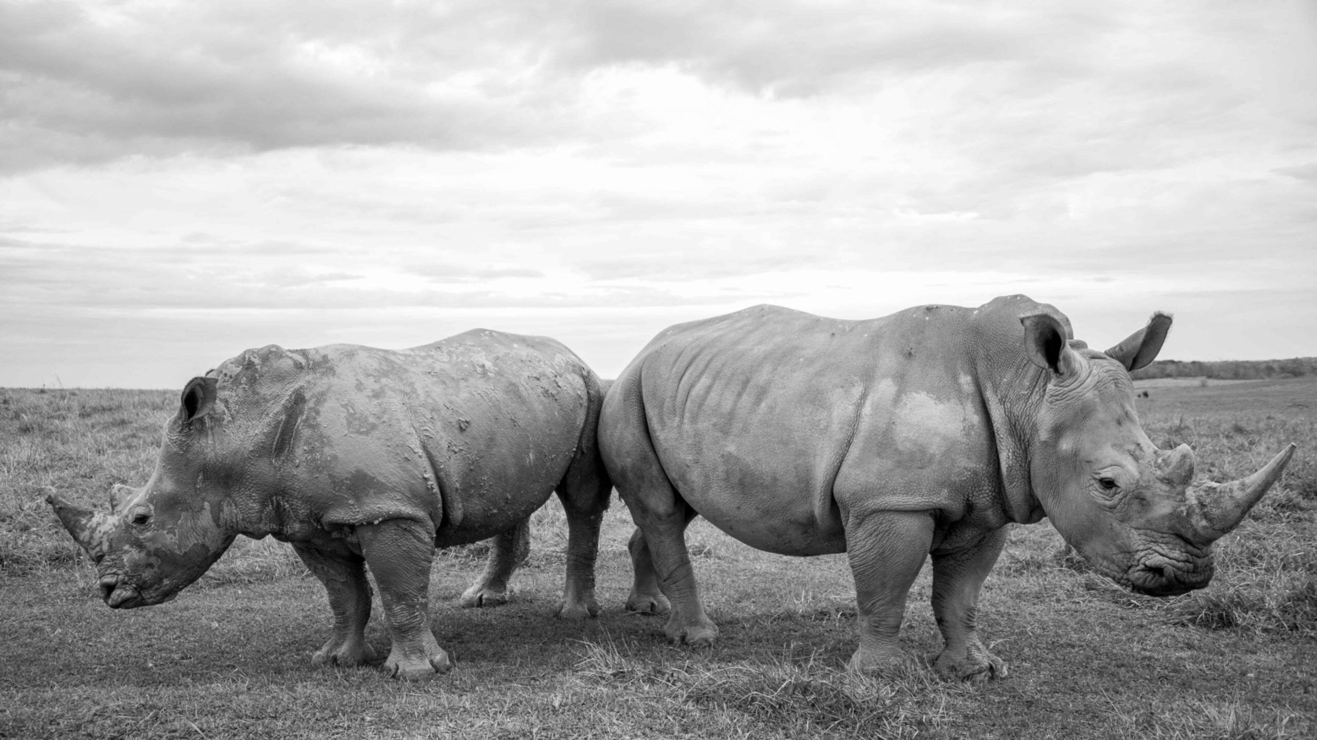 scientist trophy hunting