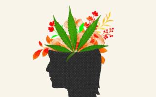 how cannabis helps autistic people